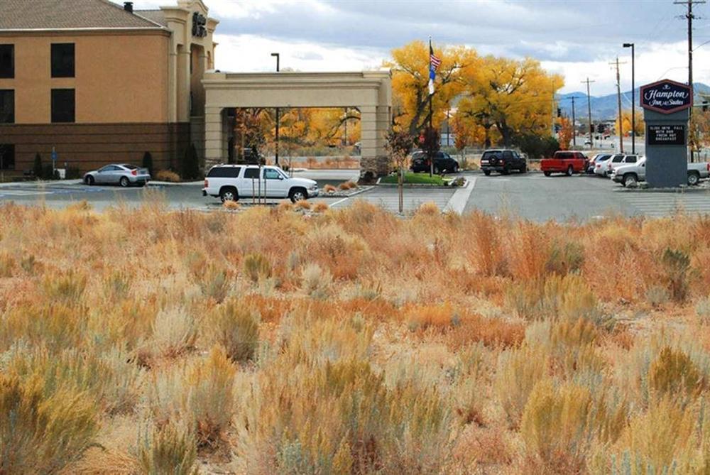 Hampton Inn & Suites Carson City Dış mekan fotoğraf